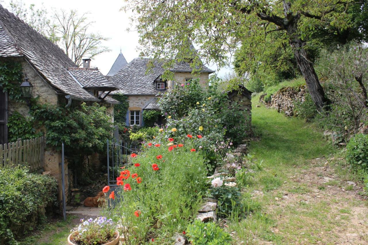 Les Terrasses De Labade Gite Et Chambres D'Hotes Coubisou Esterno foto